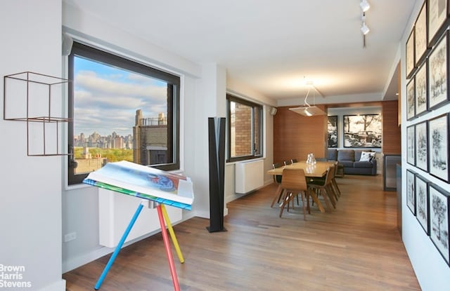 dining room with plenty of natural light, wood finished floors, rail lighting, and radiator