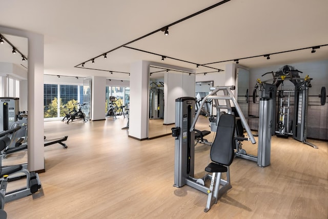 workout area featuring rail lighting and light wood finished floors