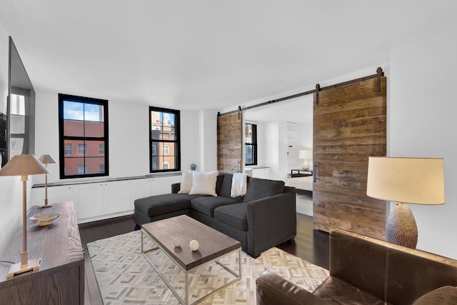 living room featuring a barn door and wood finished floors