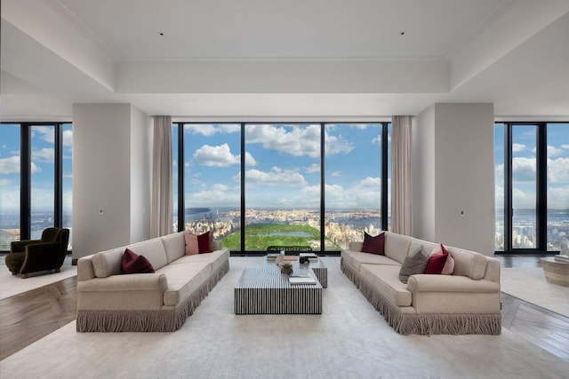 living room featuring a wealth of natural light, expansive windows, and a tray ceiling