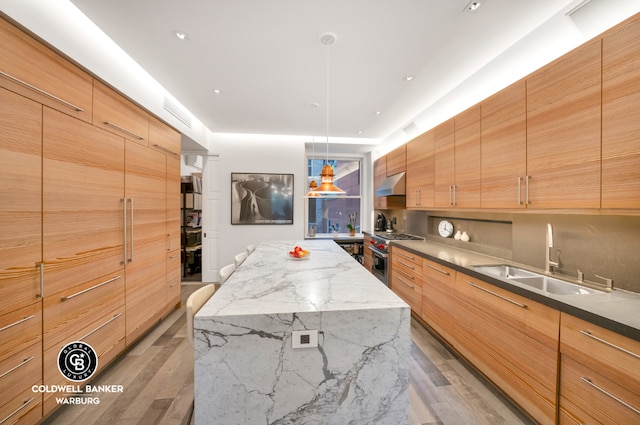 kitchen with sink, high end range, dark hardwood / wood-style floors, a spacious island, and light stone countertops