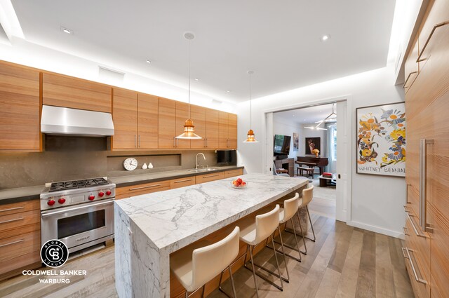 kitchen featuring luxury range, a breakfast bar, sink, a kitchen island, and exhaust hood