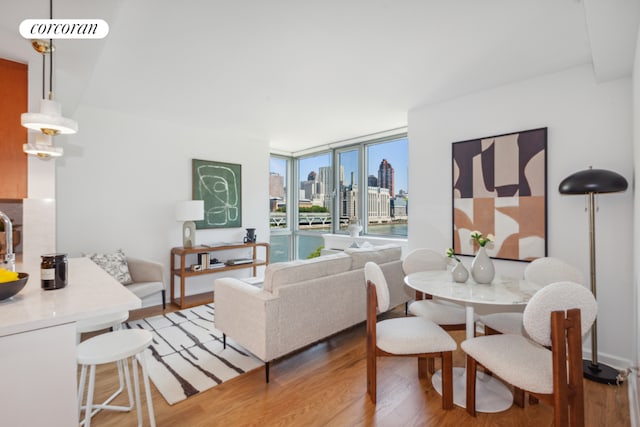 living room with hardwood / wood-style flooring and expansive windows