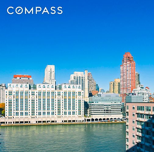 555 Main St Unit 1315, New York City, NY 10044 - skyline view with a large body of water