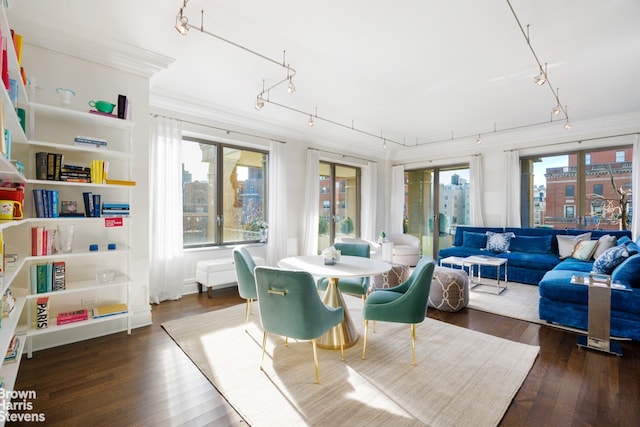 sunroom featuring a wealth of natural light and track lighting