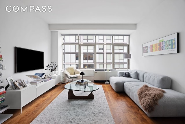 living room featuring wood finished floors