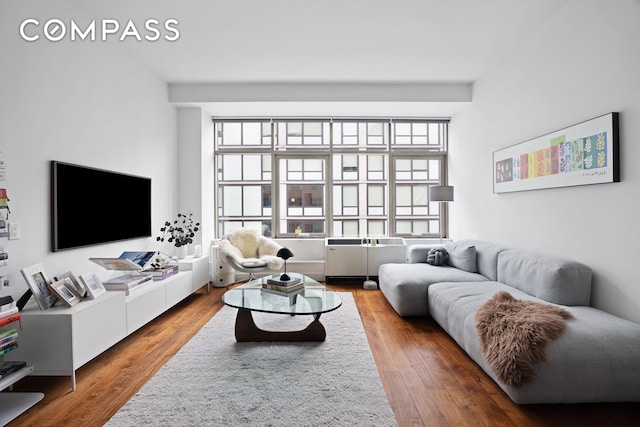 living area with wood finished floors