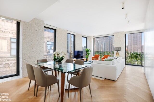 dining room featuring plenty of natural light and light parquet floors