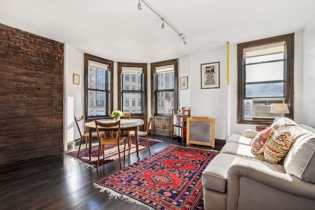 living room featuring hardwood / wood-style floors, rail lighting, radiator heating unit, and cooling unit