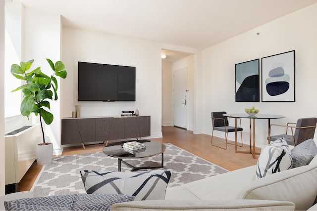 living room featuring baseboards and wood finished floors