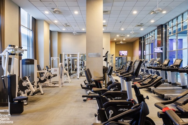 exercise room featuring a paneled ceiling, floor to ceiling windows, and light carpet