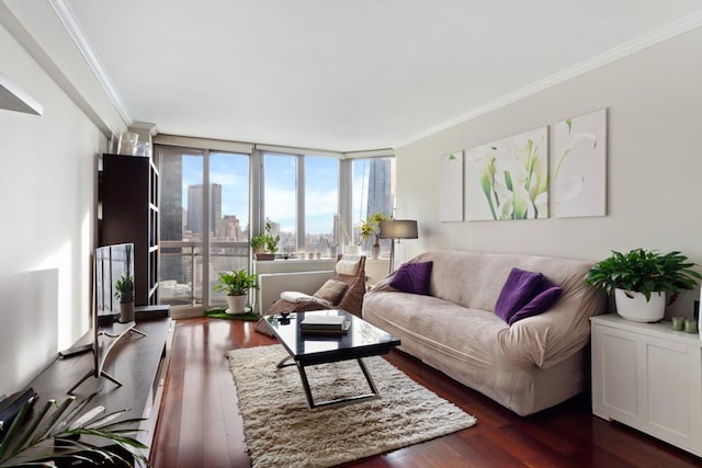 living room featuring crown molding, dark hardwood / wood-style floors, and a wall of windows