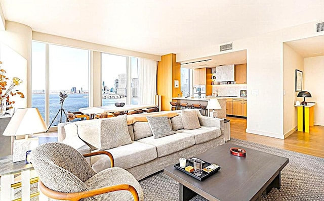 living room featuring light hardwood / wood-style floors and a water view