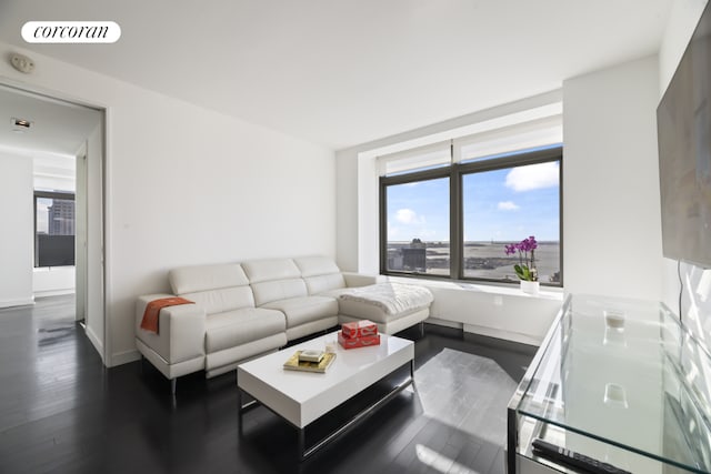 living room featuring dark wood-type flooring