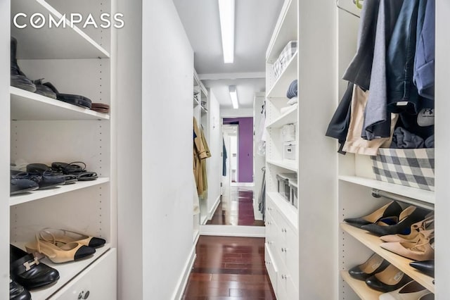 walk in closet with dark wood finished floors