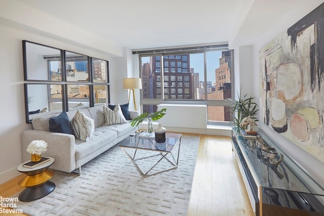 living room featuring light wood-style flooring, a view of city, and baseboards