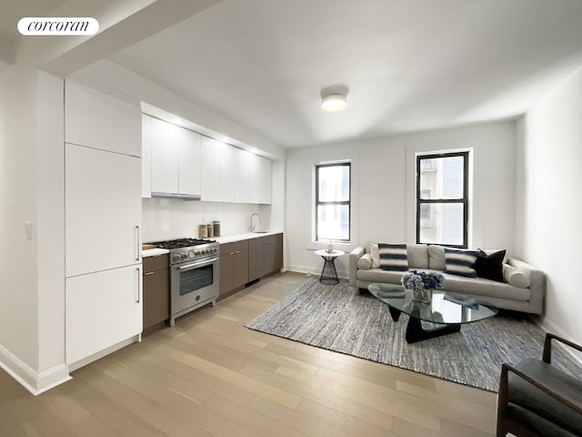 24-75 38th St Unit C2, New York City, NY 11103 - living area featuring light wood finished floors and baseboards