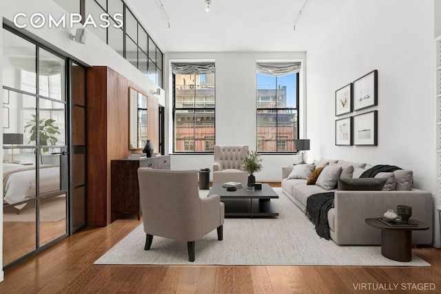 living room with track lighting and wood-type flooring