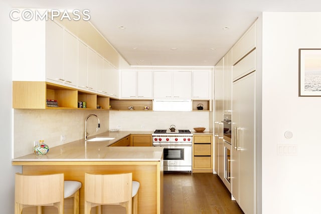 kitchen with a sink, open shelves, a peninsula, and premium range