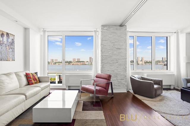 living room with a healthy amount of sunlight, a city view, and dark wood-style flooring