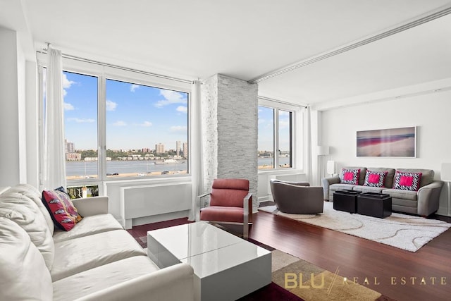 living area with a view of city, dark wood finished floors, and a wealth of natural light