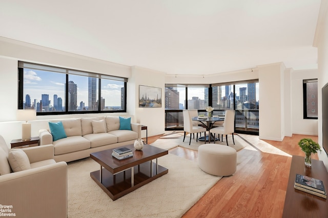 living area featuring a view of city, crown molding, baseboards, and light wood-style floors