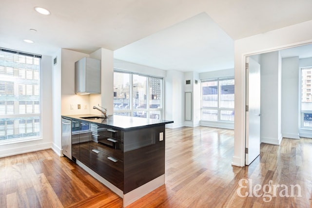 kitchen with stainless steel dishwasher, dark brown cabinetry, sink, and light wood-type flooring