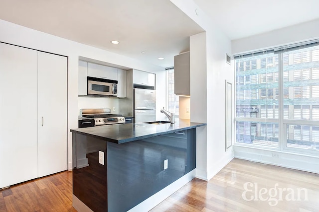 kitchen with appliances with stainless steel finishes, a healthy amount of sunlight, a sink, and light wood-style floors