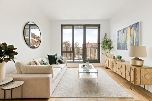 450 Grand Ave Unit 4A, New York City, NY 11238 - living room with light wood-style floors