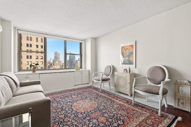 living room with a textured ceiling