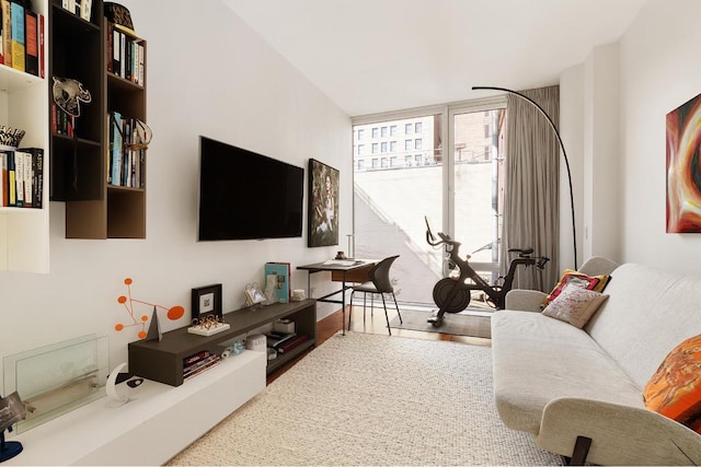 living room featuring floor to ceiling windows and wood-type flooring