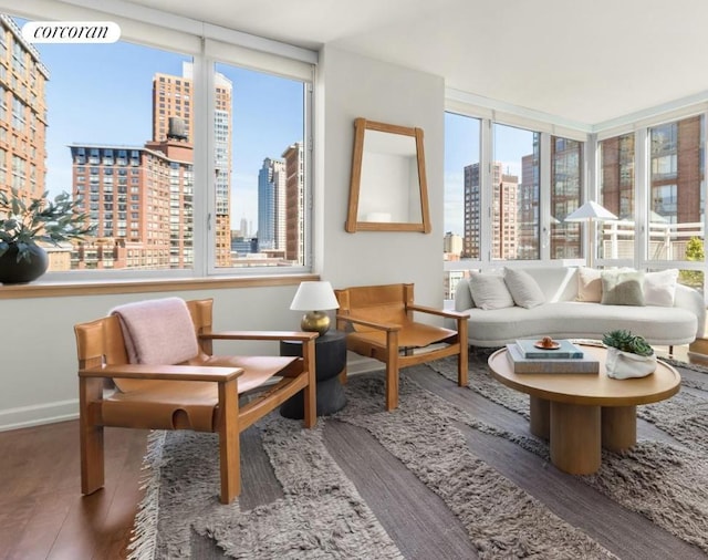 sitting room with baseboards, a city view, and wood finished floors