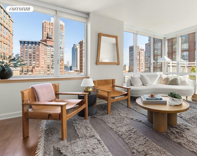 living area with baseboards, wood finished floors, and a city view