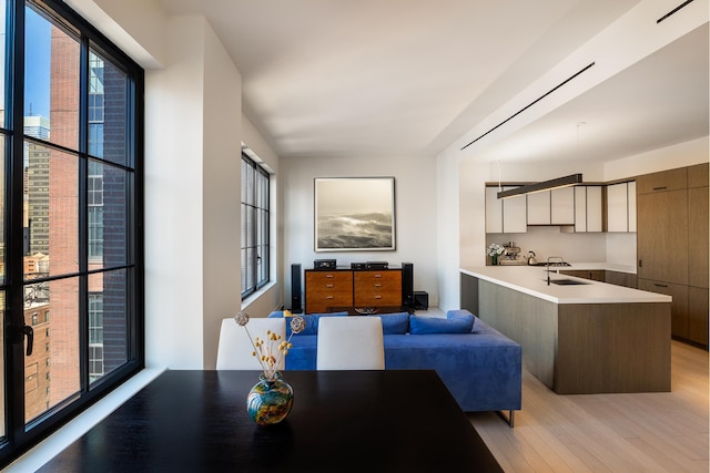 dining room featuring light wood-style flooring