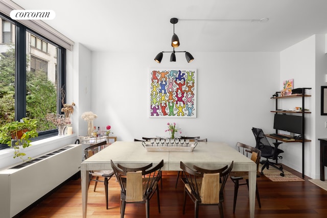 dining area with dark wood finished floors and radiator heating unit