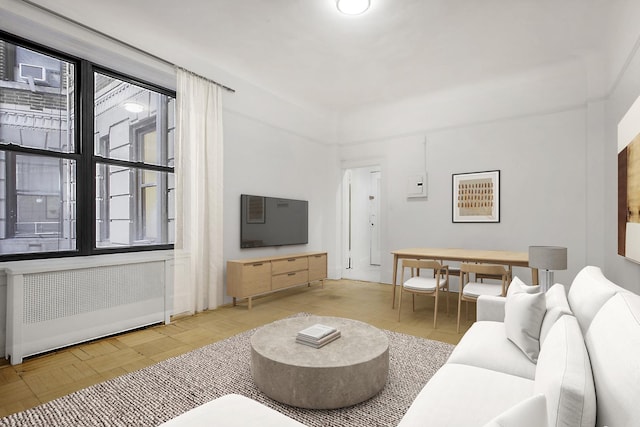 living area with radiator