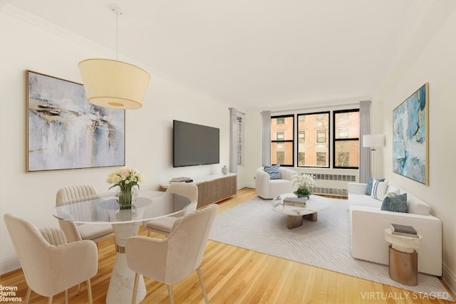 living room with radiator heating unit and wood finished floors