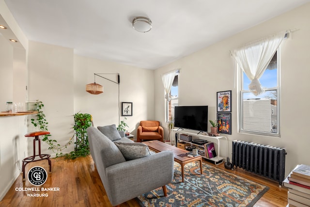 living room featuring wood-type flooring and radiator