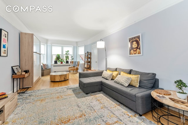 living room with radiator heating unit and light wood-type flooring