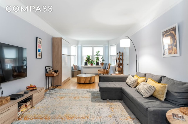 living area with radiator heating unit and light wood-type flooring