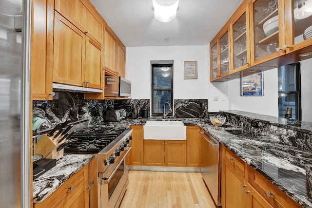 kitchen with appliances with stainless steel finishes, sink, dark stone countertops, decorative backsplash, and light wood-type flooring