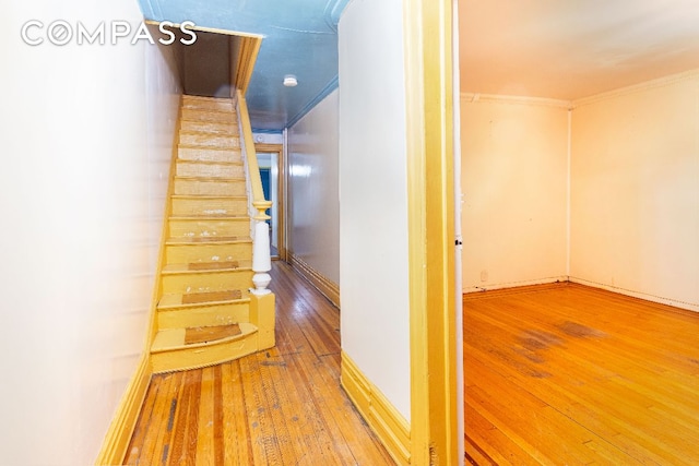 hallway featuring hardwood / wood-style flooring and crown molding