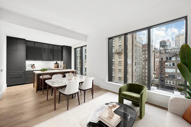 dining space featuring light hardwood / wood-style flooring