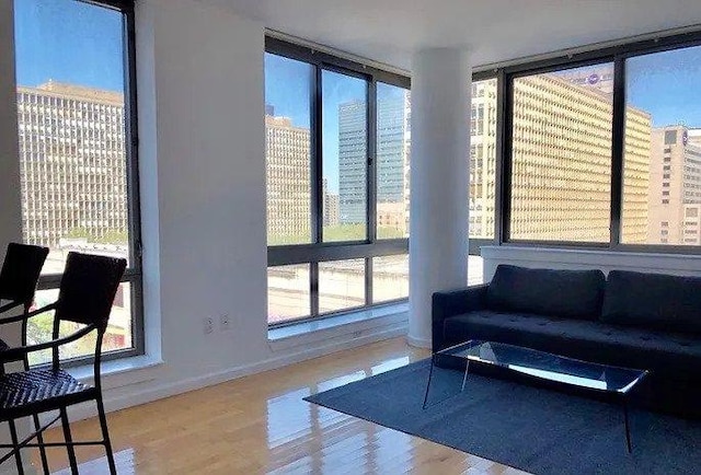 living area with baseboards and wood finished floors