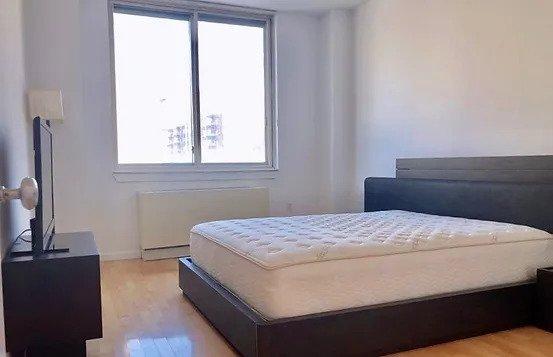 bedroom with light wood-style flooring, radiator, and multiple windows
