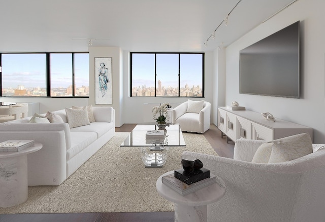 living area featuring light wood-type flooring, rail lighting, and plenty of natural light