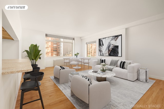 living room with light hardwood / wood-style flooring