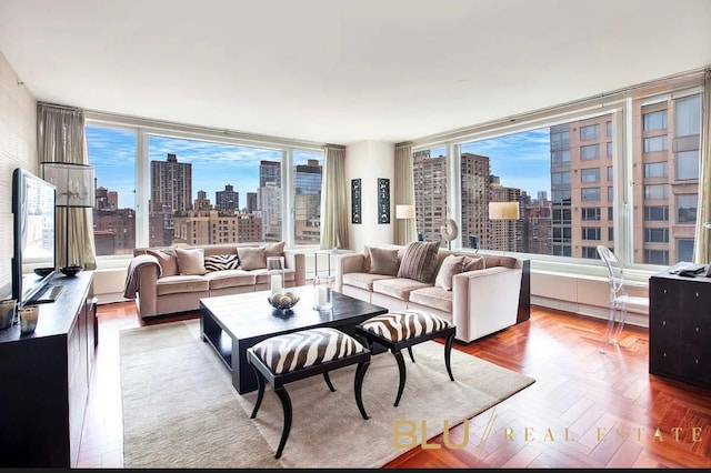 living area featuring a skyline view and plenty of natural light