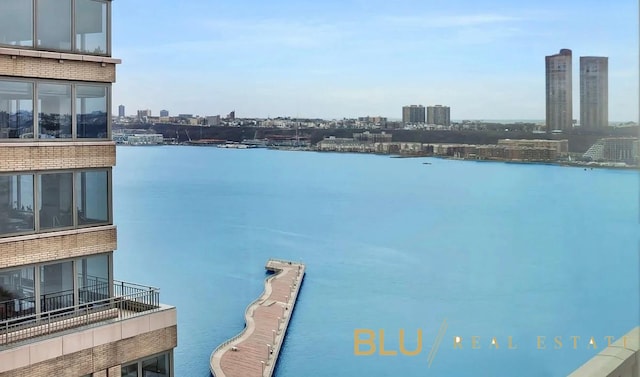 view of water feature with a city view