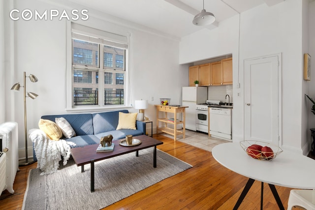 living area featuring light wood-style flooring